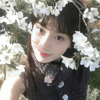 甄嬛传