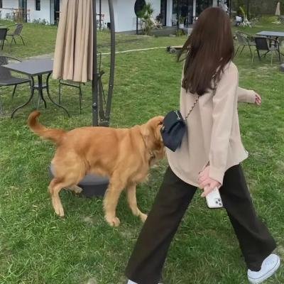 超级细胞